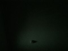 -世纪缘湖滨花园酒店(玄武湖店)