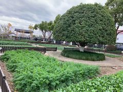 景点-张闻天故居