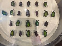 -陕西自然博物馆