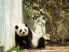 -青岛动物园