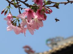 -宝墨园景区