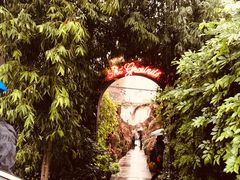 -The Grounds of Alexandria