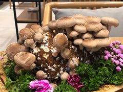 -湯系·煲汤手艺人(东二环泰禾广场店)