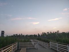 -春花秋色城市公园