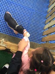 -萌宠亲子动物乐园(槐房万达店)