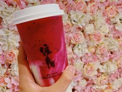 -注春·荞麦奶茶(新天地旗舰店)