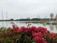 -黄埔古港