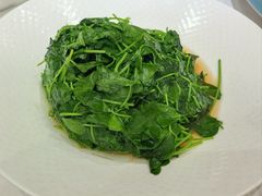 草头-绿雅酒家(江西中路店)