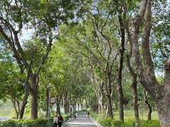 -东莞植物园