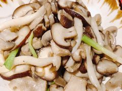 橄榄油草原蘑菇-西域阿里马新疆菜·清真(桂花路店)