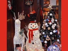 -猫相扑零食杂货铺(欧洲城店)