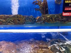 水产区-船梆煮•蒸汽海鲜·炉火烤肉(五四广场店)