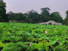 -雀儿山公园