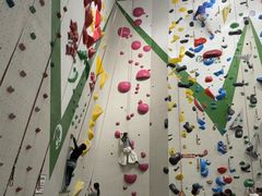 -绿壁虎攀岩基地(Tcar店)