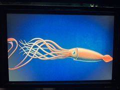 -同济大学四平路校区深海探索馆