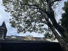 -蒋氏故居