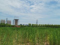 -永定河休闲森林公园