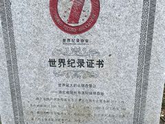 -千年银杏谷文化旅游区