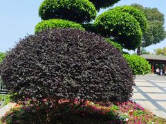 -仙岳公园