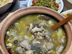 -广宁炭炉鸡煲·富临门饭店