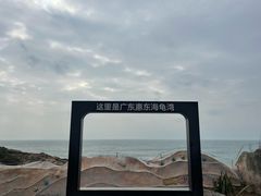 -广东惠东海龟国家级自然保护区