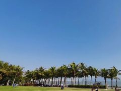-深圳湾公园(南山区)