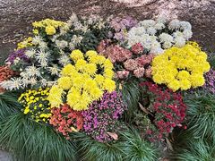 -杭州植物园