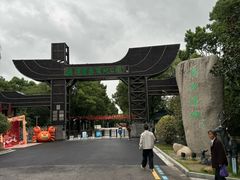 -溱湖国家湿地公园