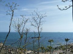 -燕儿岛山公园