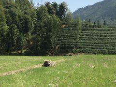 -仙霞关景区