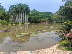 -中国科学院西双版纳热带植物园