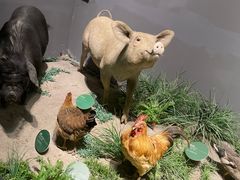 -长江文明馆