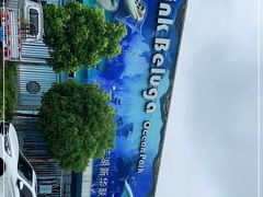 -芜湖新华联大白鲸海洋公园