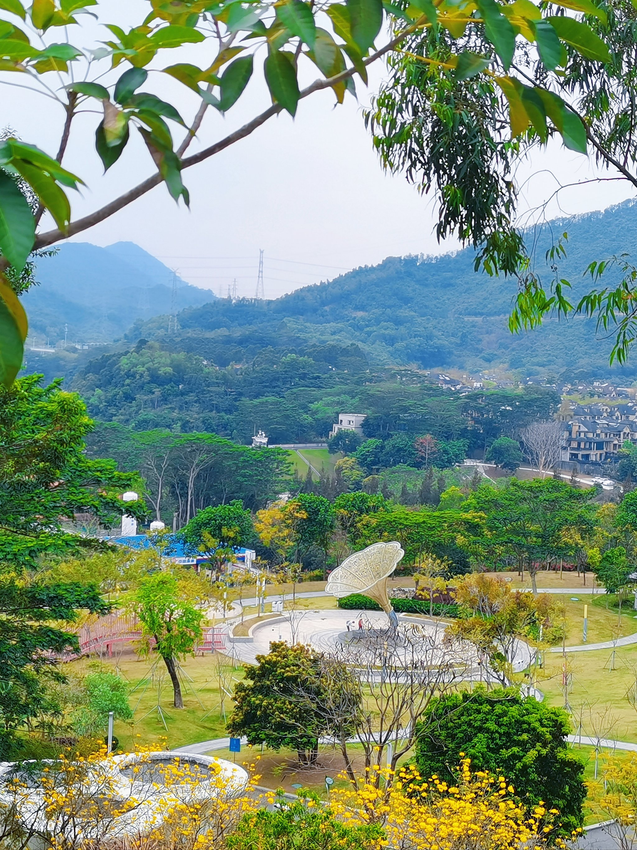 ✨深圳宝藏打卡地