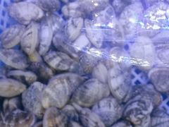 -望海潮海鲜店 特色家常菜(在海一方店)