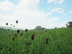 -克什克腾世界地质公园青山景区