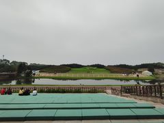 -迪茵湖田家舍生态农场