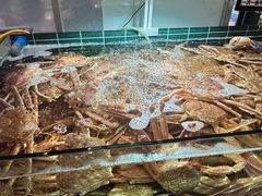 -丰卓会海鲜自助(中润大道店)