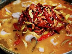 -蛙一刀·麻椒鱼火锅(金仙桥店)