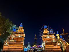 -西双版纳原始森林公园