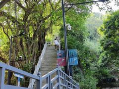 -广州市白云山风景名胜区