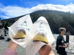 -富士山吉田線五合目