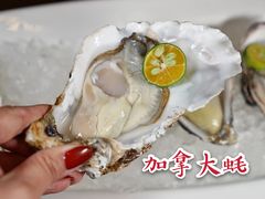 生蚝刺身-佛山希尔顿酒店·融誉亚洲美食荟