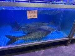 -八仔大富楼·河鲜(西江店)