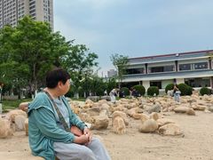 -绿岛公园(滨海新区)