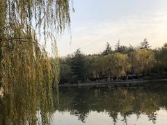 -西安市长乐公园