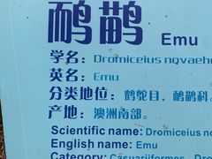 -东莞香市动物园