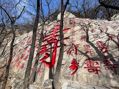 -沂蒙山旅游区龟蒙景区