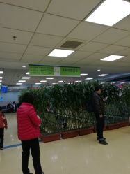 -首都医科大学附属北京儿童医院