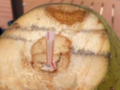 -西涌国际滨海旅游区